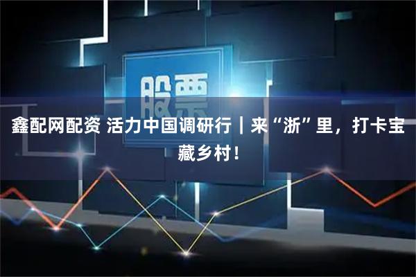 鑫配网配资 活力中国调研行｜来“浙”里，打卡宝藏乡村！
