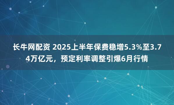 长牛网配资 2025上半年保费稳增5.3%至3.74万亿元，预定利率调整引爆6月行情