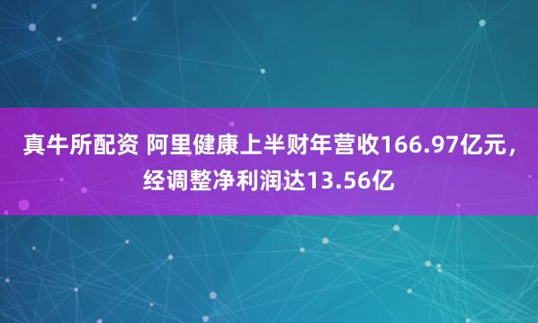 真牛所配资 阿里健康上半财年营收166.97亿元，经调整净利润达13.56亿