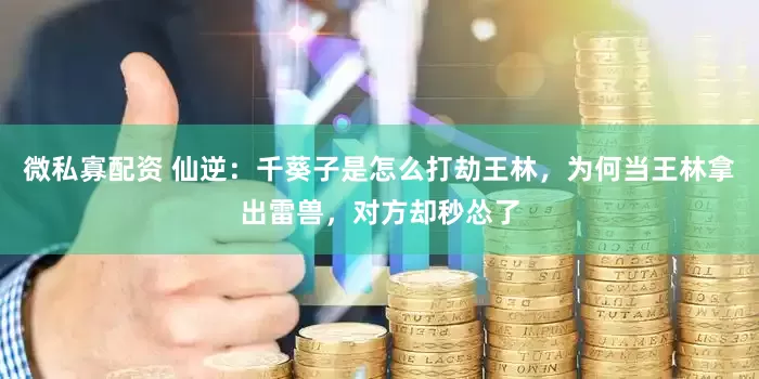 微私寡配资 仙逆:千葵子是怎么打劫王林,为何当王林拿出雷兽,对方却秒怂了